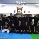 foto ninjutsu